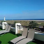 Palm Garden In Front Of The Apartmán