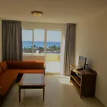 Palm Garden In Front Of The Morro Jable (Fuerteventura)