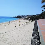 Palm Garden In Front Of The Apartmán Morro Jable (Fuerteventura)