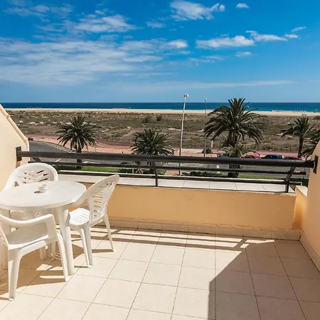 Palm Garden In Front Of The Morro Jable (Fuerteventura)