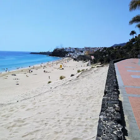 Palm Garden In Front Of The Apartmán Morro Jable (Fuerteventura)