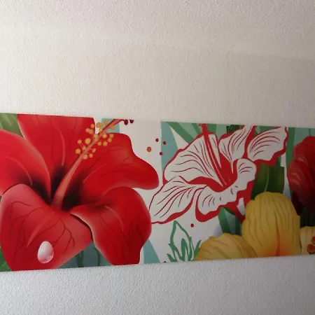 Appartement Palm Garden *